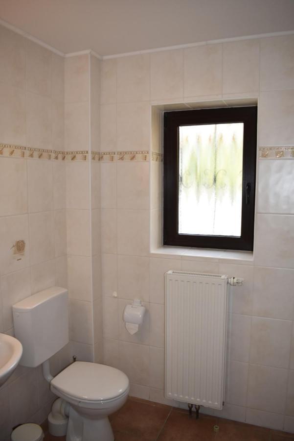 Pension Zur Schleuse Garni Am Elbe Luebeck - Kanal In Witzeeze Esterno foto